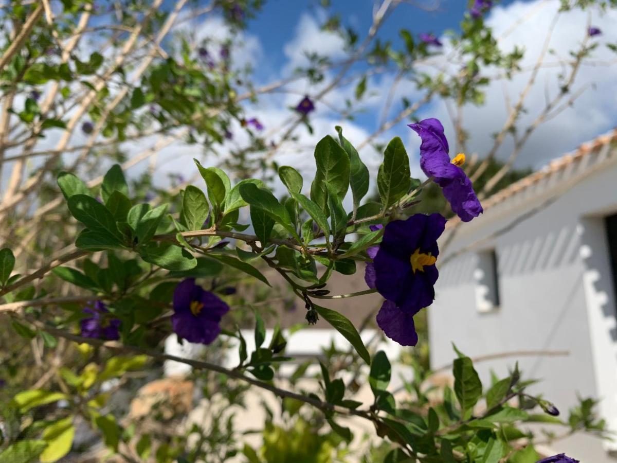 Finca Bona Nit Jávea Екстериор снимка